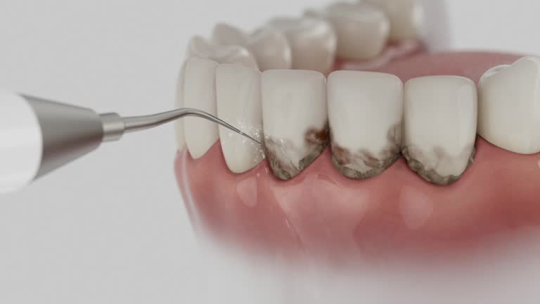 Reliable Dental contractor in Red Hill, PA by Dentist Open Now